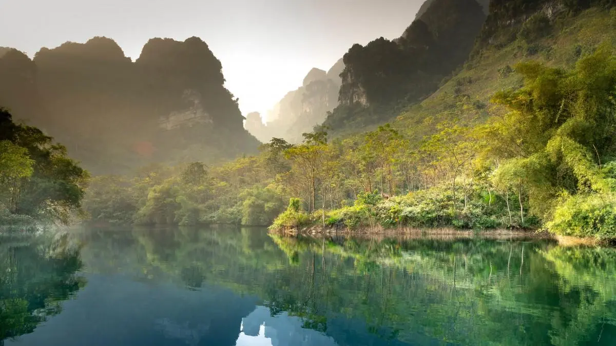 智慧智能